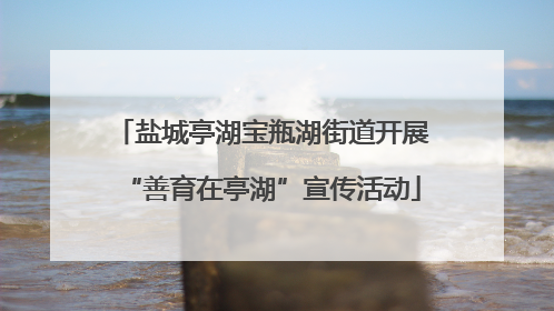盐城亭湖宝瓶湖街道开展“善育在亭湖”宣传活动